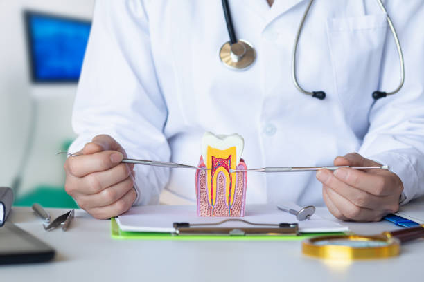 Best Emergency Tooth Extraction in Walterboro, SC